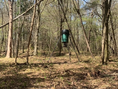 40 Secluded Acres with Mature Timber and Creek for Sale SWMS - image 14