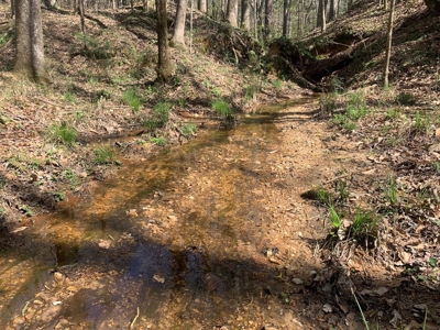 40 Secluded Acres with Mature Timber and Creek for Sale SWMS - image 11