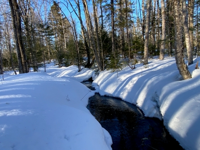 109± Acres with Brook Frontage - image 8