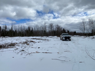 109± Acres with Brook Frontage - image 9