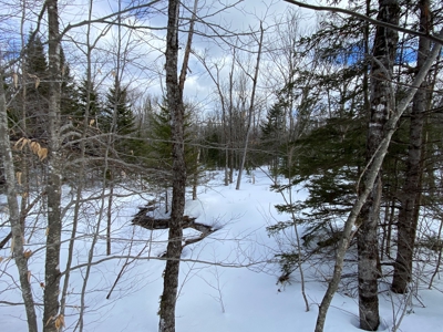 109± Acres with Brook Frontage - image 19
