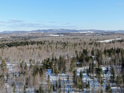 109± Acres with Brook Frontage - image 5