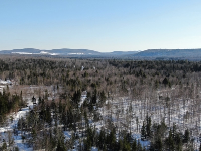 109± Acres with Brook Frontage - image 1