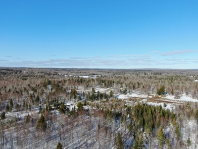109± Acres with Brook Frontage - image 3