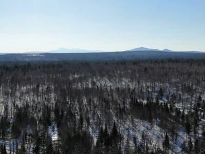 109± Acres with Brook Frontage - image 4