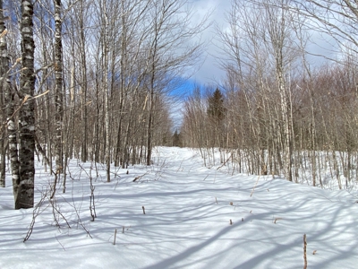 109± Acres with Brook Frontage - image 10