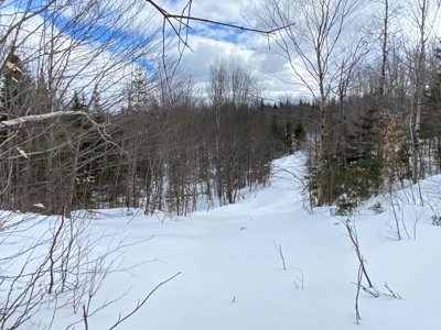 109± Acres with Brook Frontage - image 18
