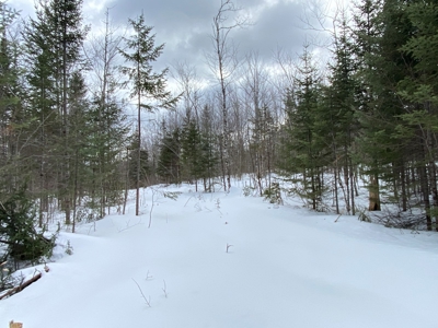 109± Acres with Brook Frontage - image 17