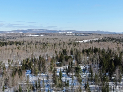 109± Acres with Brook Frontage - image 7