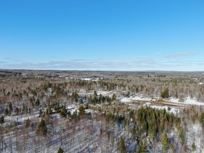 109± Acres with Brook Frontage - image 2