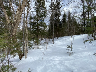 109± Acres with Brook Frontage - image 16