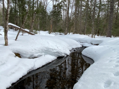 109± Acres with Brook Frontage - image 14