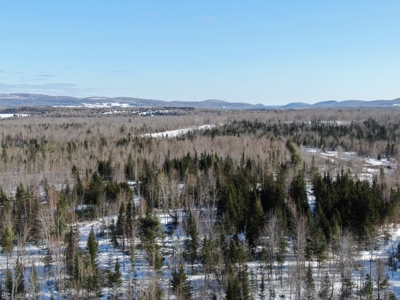 109± Acres with Brook Frontage - image 6