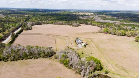 100 Acre Horse Property Claxton Georgia - image 9