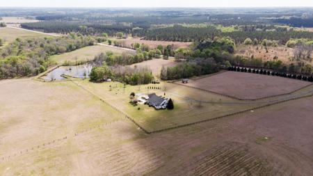 100 Acre Horse Property Claxton Georgia - image 2