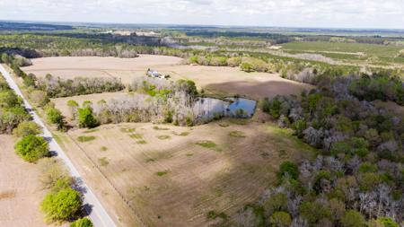 100 Acre Horse Property Claxton Georgia - image 10