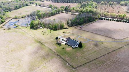 100 Acre Horse Property Claxton Georgia - image 5