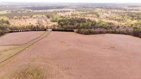 100 Acre Horse Property Claxton Georgia - image 3