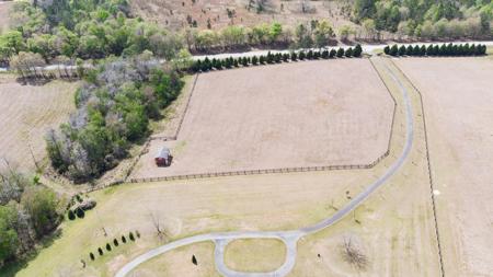 100 Acre Horse Property Claxton Georgia - image 8