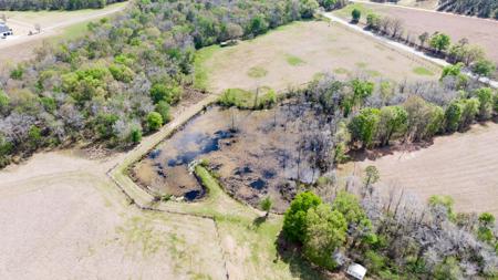 100 Acre Horse Property Claxton Georgia - image 6