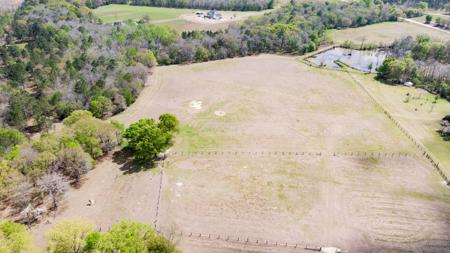 100 Acre Horse Property Claxton Georgia - image 4