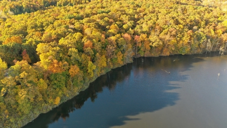 Martha's Ridge - 616 Acres, Lodge, Guest House, Lake East AR - image 7