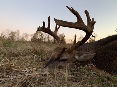 Martha's Ridge - 616 Acres, Lodge, Guest House, Lake East AR - image 35