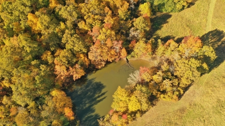 Martha's Ridge - 616 Acres, Lodge, Guest House, Lake East AR - image 14