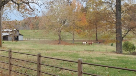 Martha's Ridge - 616 Acres, Lodge, Guest House, Lake East AR - image 30