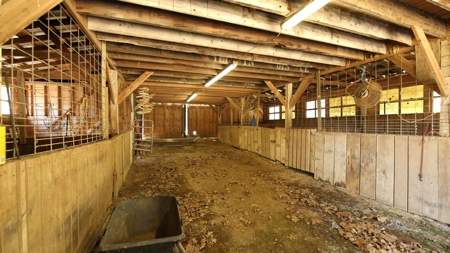 Martha's Ridge - 616 Acres, Lodge, Guest House, Lake East AR - image 18