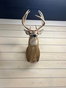 Martha's Ridge - 616 Acres, Lodge, Guest House, Lake East AR - image 36