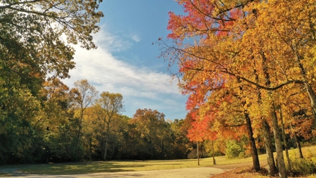 Martha's Ridge - 616 Acres, Lodge, Guest House, Lake East AR - image 16