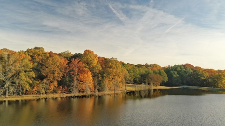 Martha's Ridge - 616 Acres, Lodge, Guest House, Lake East AR - image 9