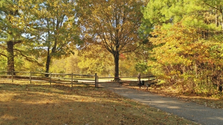 Martha's Ridge - 616 Acres, Lodge, Guest House, Lake East AR - image 15