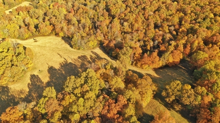 Martha's Ridge - 616 Acres, Lodge, Guest House, Lake East AR - image 11