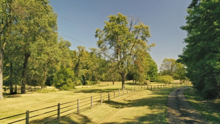 Martha's Ridge - 616 Acres, Lodge, Guest House, Lake East AR - image 5