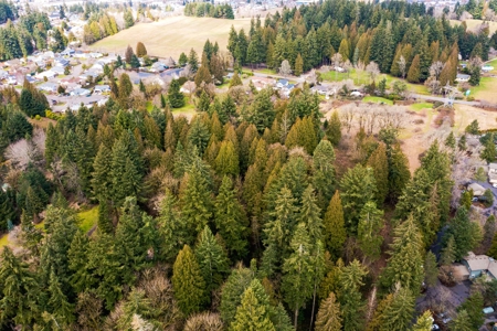 4 Acre lot for sale in Vancouver WA - image 7