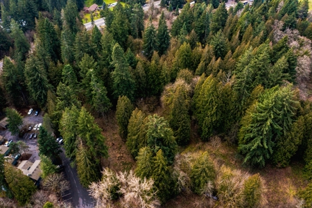 4 Acre lot for sale in Vancouver WA - image 6