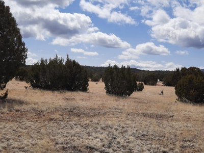Very pretty off grid recreational property - image 5