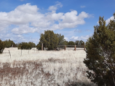 Very pretty off grid recreational property - image 10