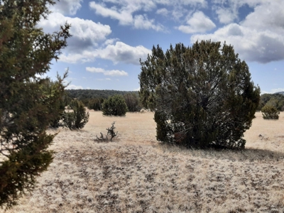 Very pretty off grid recreational property - image 7