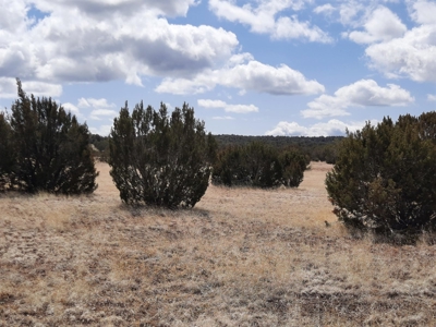 Very pretty off grid recreational property - image 6