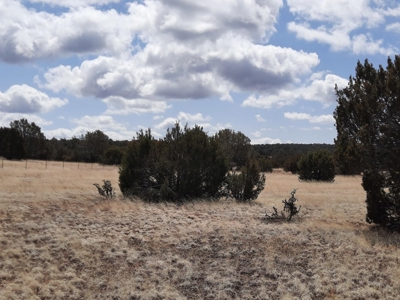 Very pretty off grid recreational property - image 9