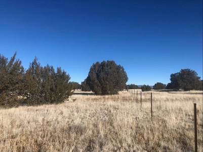 Very pretty off grid recreational property - image 13