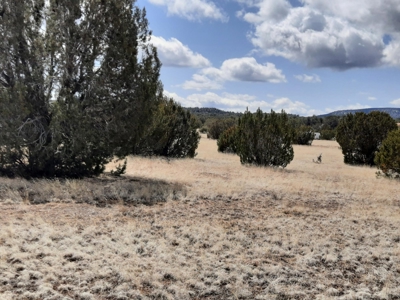 Very pretty off grid recreational property - image 1