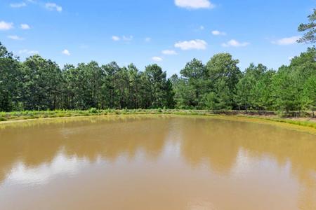 East Texas Luxury Ranch near Troup in Cherokee County - image 36