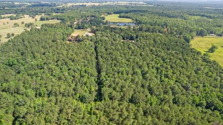 East Texas Luxury Ranch near Troup in Cherokee County - image 41