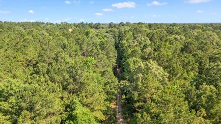 East Texas Luxury Ranch near Troup in Cherokee County - image 42