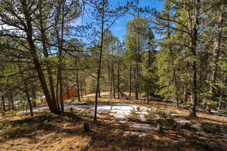 Mountain Properties for Sale in Colorado - image 11
