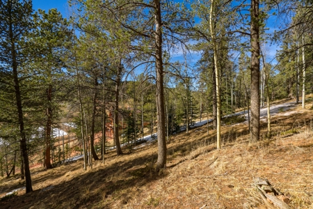 Mountain Properties for Sale in Colorado - image 2